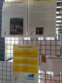 Vacances de mineur 2019